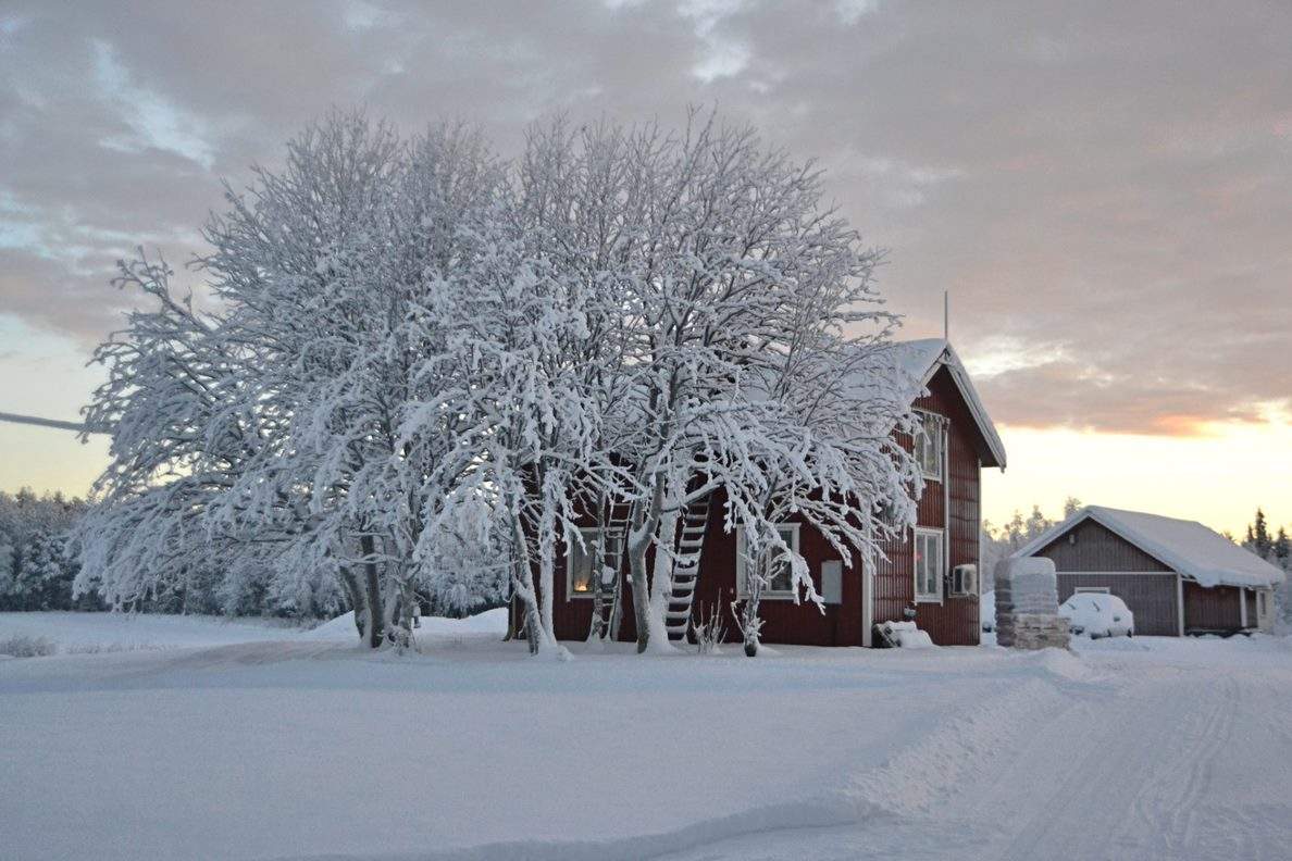 Where can heat pumps be used?