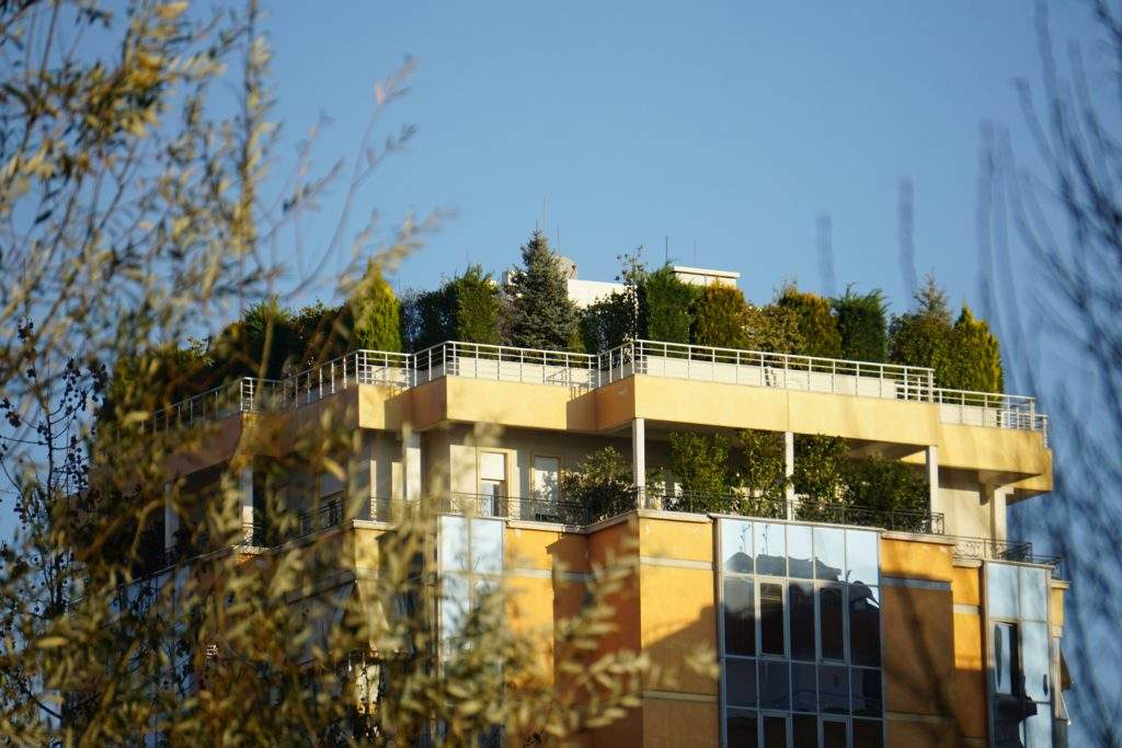 building with green garden